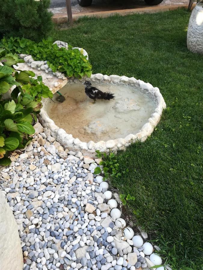Apartmani Villa Otilija Porec Luaran gambar