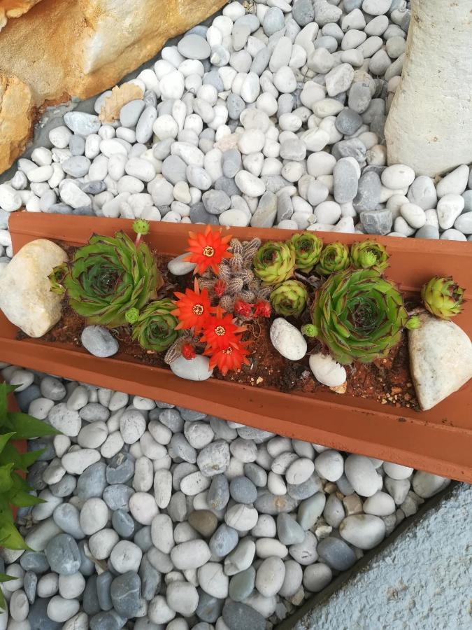 Apartmani Villa Otilija Porec Luaran gambar