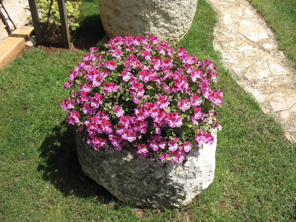 Apartmani Villa Otilija Porec Luaran gambar