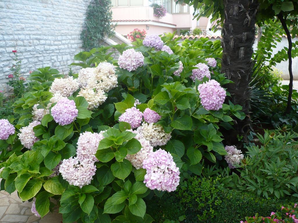 Apartmani Villa Otilija Porec Luaran gambar